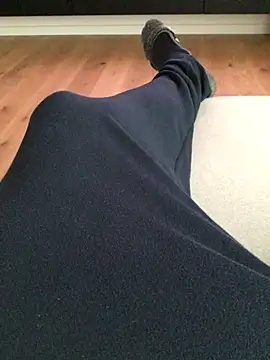 Snapshot of Fellix chatting on February 2025 10:15:02 AM Fellix online show from February 2025 10:15:02 AM