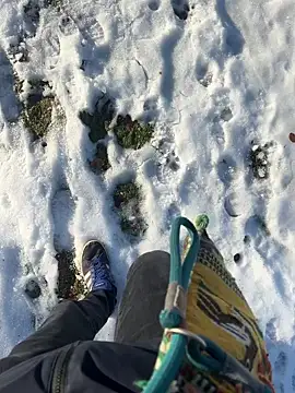 Snapshot of Mrbighardcock chatting on January 2026 10:21:02 AM Mrbighardcock online show from January 2026 10:21:02 AM