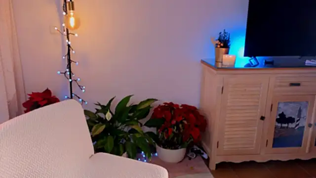 anabelcurvy online show from December 2024 04:07:02 PM