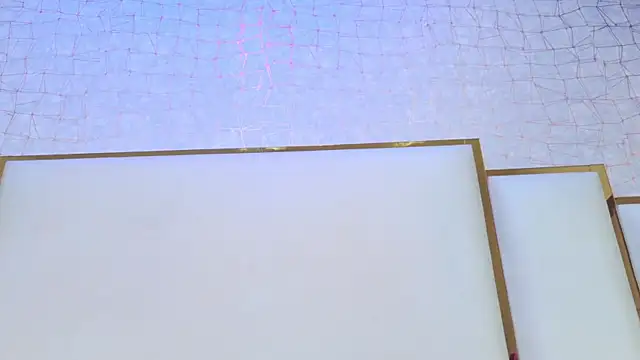paola rodriguez online show from July 2026 11:39:02 AM