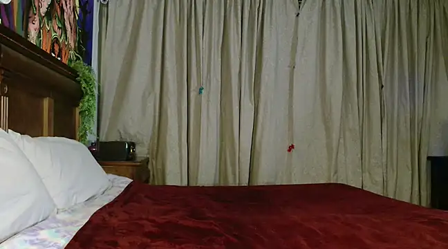 MINI Petite online show from February 2025 07:50:01 AM