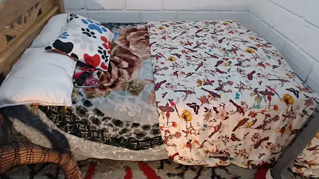 sexyjustin202 online show from December 2025 10:58:01 PM