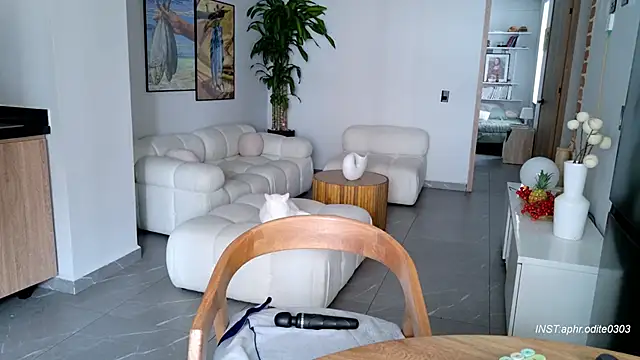 Nikol-JE online show from February 2026 08:29:01 PM