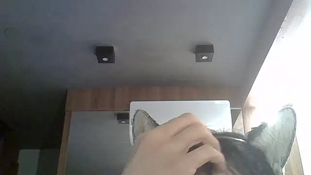 Skinny-Kitten online show from February 2026 01:35:02 AM