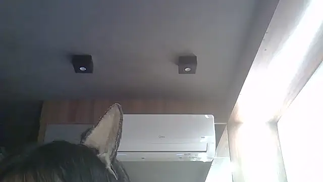 Skinny-Kitten online show from February 2026 01:40:01 PM