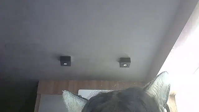 Skinny-Kitten online show from May 2026 11:51:02 AM