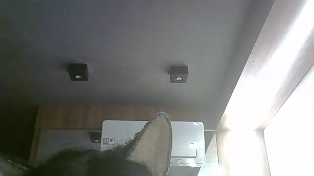 Skinny-Kitten online show from May 2026 11:17:01 AM