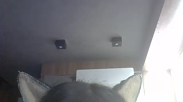 Skinny-Kitten online show from May 2026 04:37:02 PM