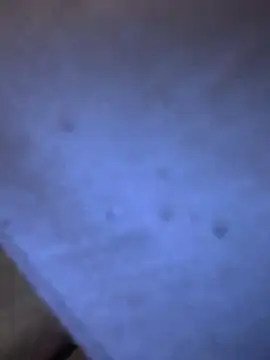 Adamvarga0318 online show from February 2025 10:29:02 PM