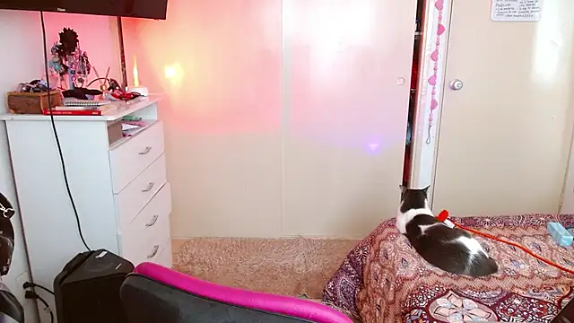 Snapshot of alisseallie chatting on March 2026 02:31:02 PM alisseallie online show from March 2026 02:31:02 PM