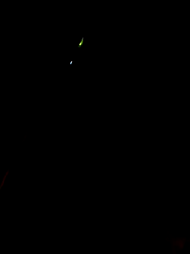 Snapshot of ManBlackhot chatting on January 2025 09:22:01 PM ManBlackhot online show from January 2025 09:22:01 PM