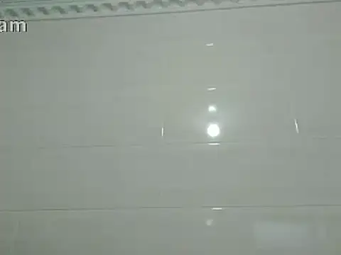 Snapshot of Stormward chatting on March 2025 04:18:02 PM Stormward online show from March 2025 04:18:02 PM