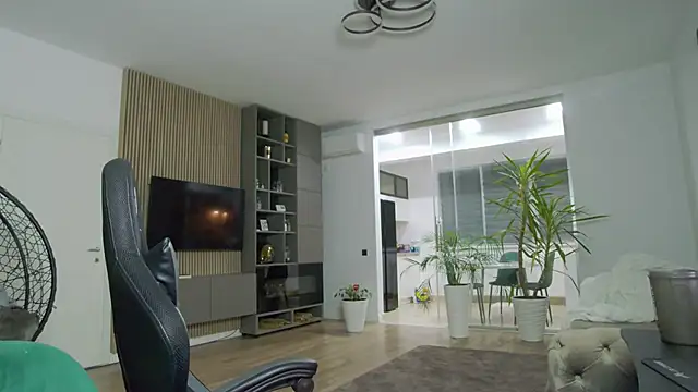 UbbeViking online show from December 2024 09:31:02 PM