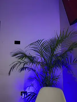 Charly  online show from March 2025 04:12:01 PM