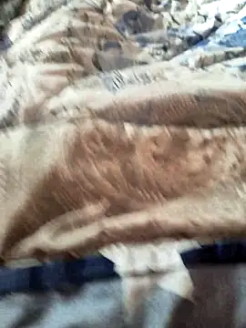 Ouram 81 online show from December 2025 09:18:01 AM