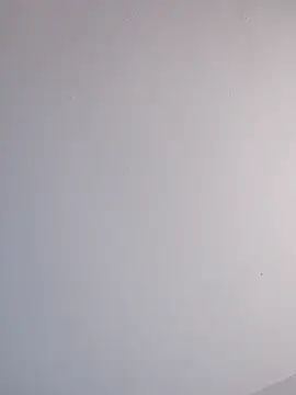 Snapshot of Delicy1 chatting on February 2025 12:44:02 PM Delicy1 online show from February 2025 12:44:02 PM