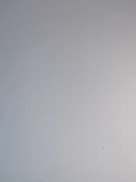 Snapshot of Delicy1 chatting on February 2025 04:44:01 PM Delicy1 online show from February 2025 04:44:01 PM