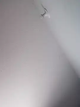 Snapshot of Delicy1 chatting on February 2026 02:13:02 PM Delicy1 online show from February 2026 02:13:02 PM