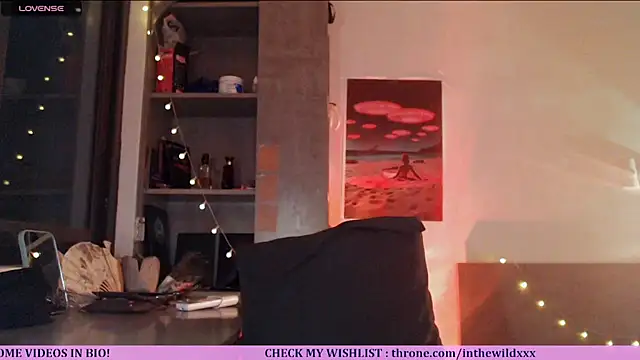Snapshot of Cassie_Wild chatting on July 2026 01:06:02 PM Cassie Wild online show from July 2026 01:06:02 PM