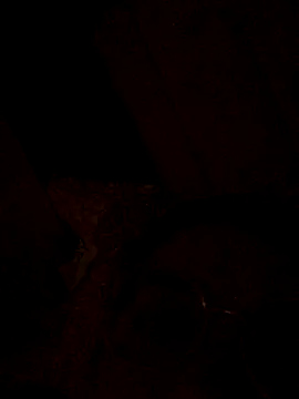 nalalye cruzz  online show from September 2025 02:27:02 AM