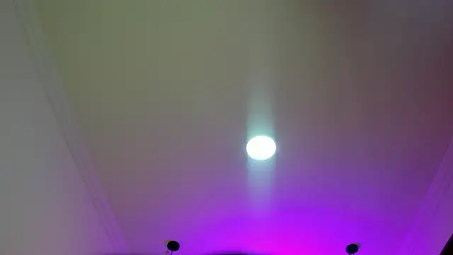 Snapshot of nalalye_cruzz_ chatting on March 2026 02:04:02 AM nalalye cruzz online show from March 2026 02:04:02 AM