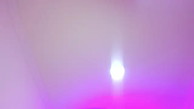 Snapshot of nalalye_cruzz_ chatting on April 2026 03:04:02 AM nalalye cruzz online show from April 2026 03:04:02 AM