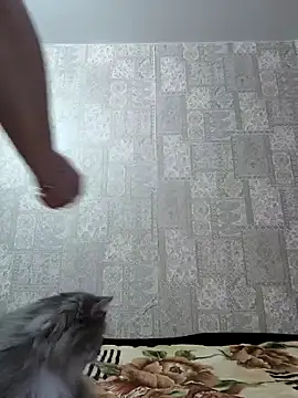 EffectFiona online show from January 2025 04:04:01 AM