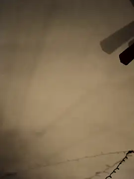 Snapshot of Midwestalpha chatting on February 2025 06:04:02 PM Midwestalpha online show from February 2025 06:04:02 PM