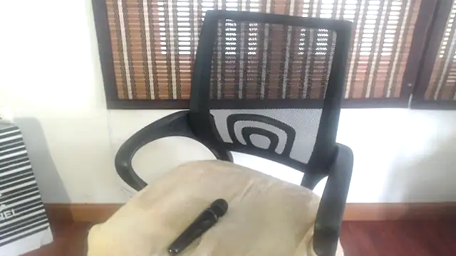 VenusX online show from October 2025 04:21:01 AM