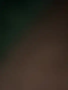 Snapshot of Terrafirma chatting on February 2025 11:49:01 AM Terrafirma online show from February 2025 11:49:01 AM