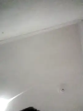 kevin613603 online show from February 2026 12:32:02 PM