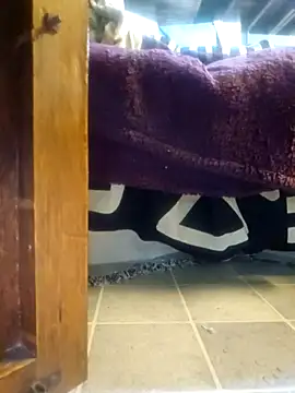 Daza67 online show from January 2026 09:33:01 AM