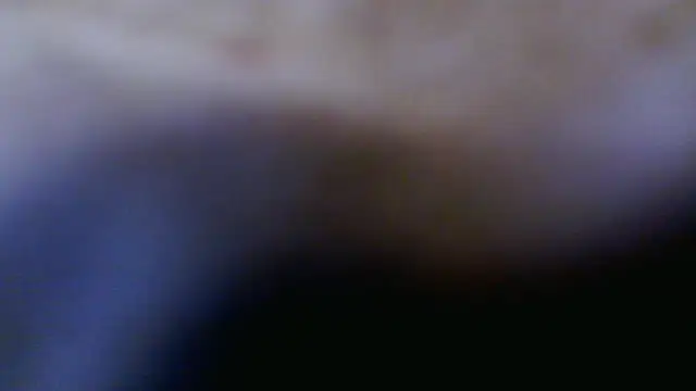 Taylorsexbot online show from April 2026 11:46:02 AM