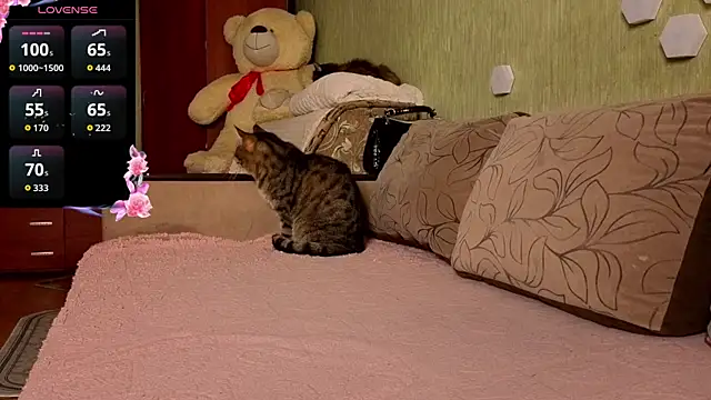 Miss Flexi fit online show from April 2026 04:56:01 PM