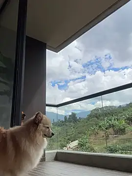 Snapshot of Helenbronwx chatting on January 2025 06:52:01 PM Helenbronwx online show from January 2025 06:52:01 PM