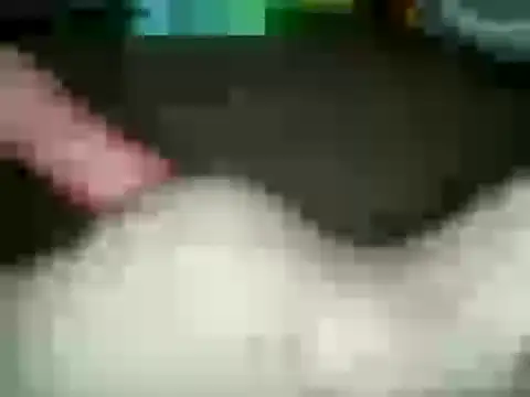 xxxlecram online show from January 2025 02:56:02 PM