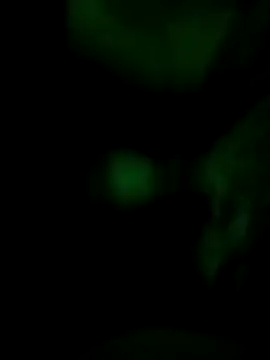 Snapshot of Vuyokaki chatting on November 2025 02:37:02 AM Vuyokaki online show from November 2025 02:37:02 AM