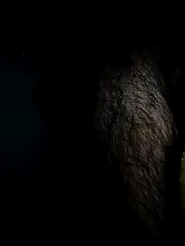 Bigcockmexi13 online show from April 2026 07:29:02 PM