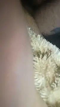 Bigcockmexi13 online show from July 2026 03:13:01 AM