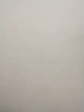 Snapshot of Shuttii_25 chatting on January 2025 06:13:01 AM Shuttii 25 online show from January 2025 06:13:01 AM