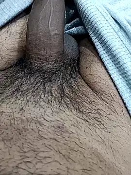 Snapshot of addu24 chatting on April 2026 12:43:01 PM addu24 online show from April 2026 12:43:01 PM