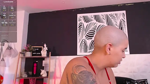 WildyTemping online show from March 2025 04:11:01 PM