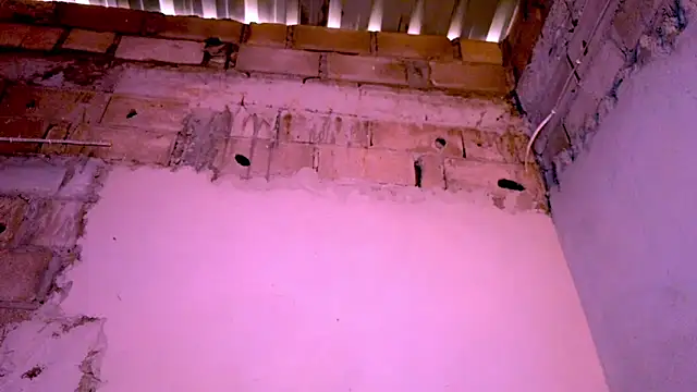 nzanizy online show from December 2024 01:30:02 PM