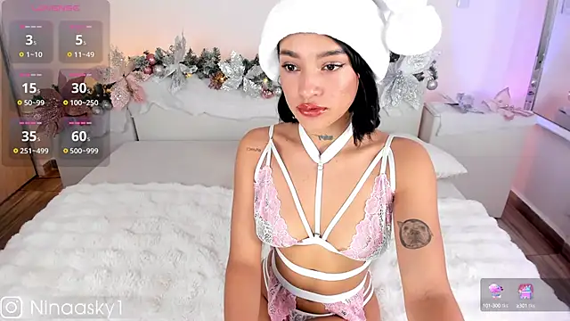 ninaa sky online show from December 2024 04:00:01 PM