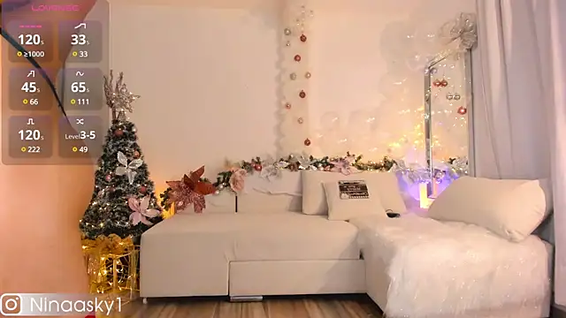 ninaa sky online show from December 2024 06:20:02 AM