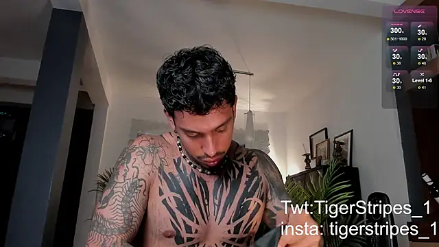 Snapshot of TigerStripes1_ chatting on February 2025 12:43:01 AM TigerStripes1 online show from February 2025 12:43:01 AM