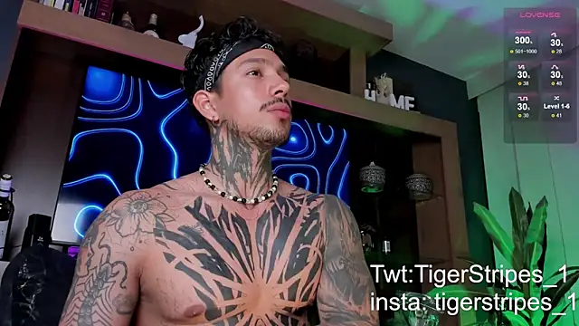 Snapshot of TigerStripes1_ chatting on March 2025 12:31:02 AM TigerStripes1 online show from March 2025 12:31:02 AM