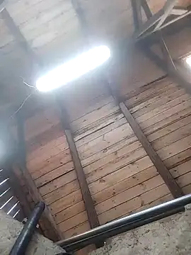 Snapshot of lotrando54 chatting on December 2024 07:50:01 AM lotrando54 online show from December 2024 07:50:01 AM