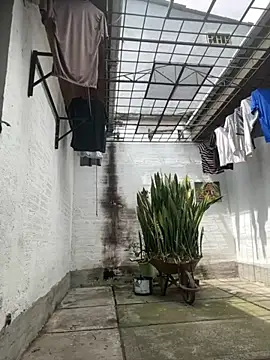 oliver price1 online show from September 2025 03:23:02 PM