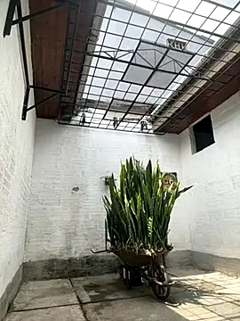 oliver price1 online show from October 2025 04:04:01 PM